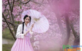 海珠seo网络营销推广