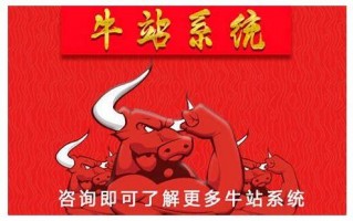 南宁SEO优化全攻略：提升网站排名与流量的秘诀