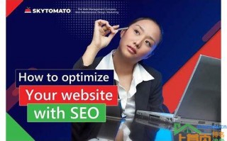 网站怎么优化seo()