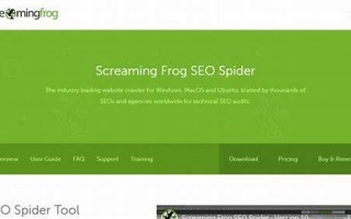SEO蜘蛛精：提升网站排名的神秘利器与应用之道