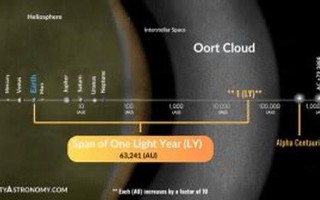 光年SEO：掌握这些技巧，让网站流量轻松翻倍