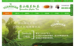 福建SEO优化：策略、实践与案例解析