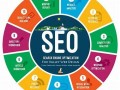 解锁 SEO 建站密码：开启流量与转化的新征程