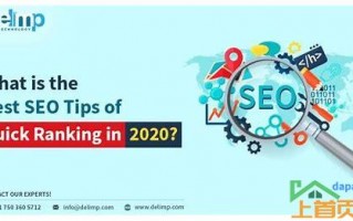 seo快速排名是什么(seo快速排名是什么的汇总)