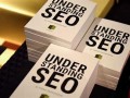 SEO优化书：提升网站排名的秘籍与实战指南