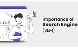 seo和sem是什么意思啊