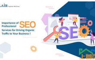 seo网站优化专业的公司