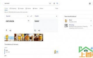 提升关键词排名，选择专业公司