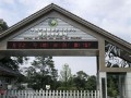 雅安SEO：提升网站排名的实用策略与技巧