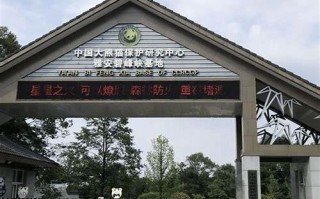 雅安SEO：提升网站排名的实用策略与技巧