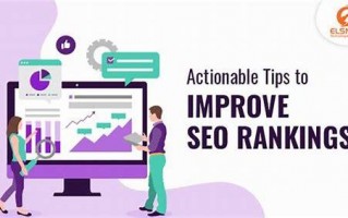 SEO快排：原理、风险与合规优化之道，上首页 SEO 网助力