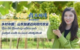 山东SEO：优化策略与实战指南，助力企业线上突围